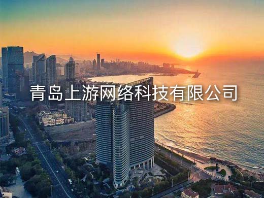 青岛上游网络科技有限公司刑事合规法律顾问